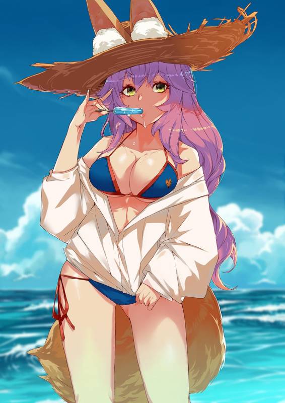 tamamo (fate) (all)+tamamo no mae (swimsuit lancer) (fate)