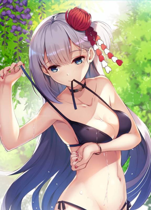 shoukaku (azur lane)