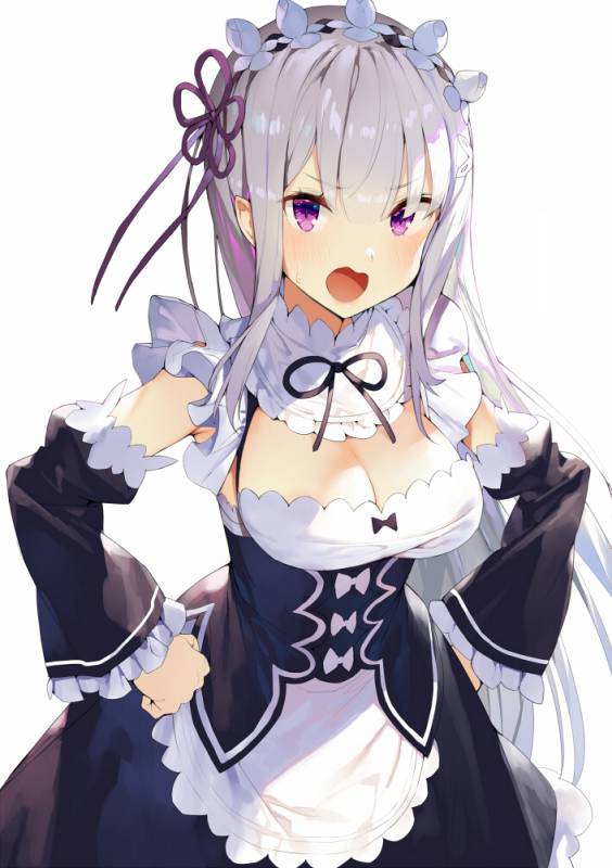 emilia (re zero)+rem (re zero)