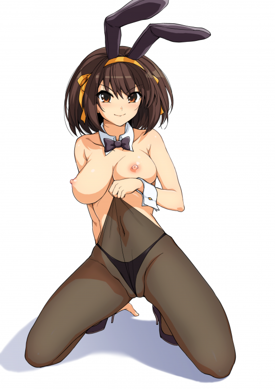 suzumiya haruhi