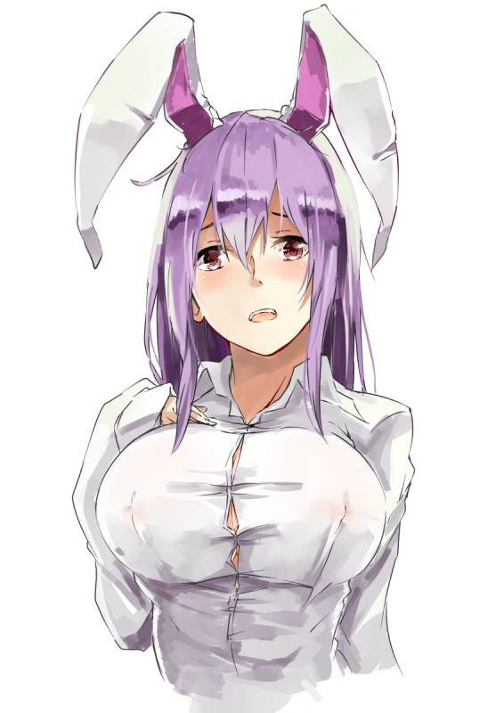 reisen udongein inaba