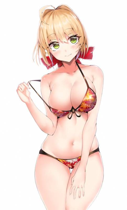 nero claudius (fate)+nero claudius (fate) (all)