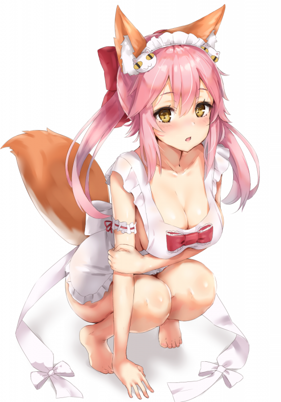 tamamo (fate) (all)+tamamo cat (fate)+tamamo cat (fate) (cosplay)