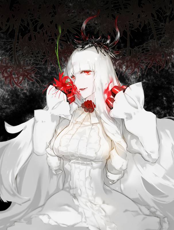 lycoris hime+shinkais-kan