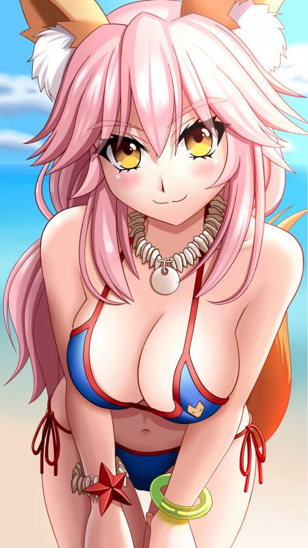 tamamo (fate) (all)+tamamo no mae (swimsuit lancer) (fate)