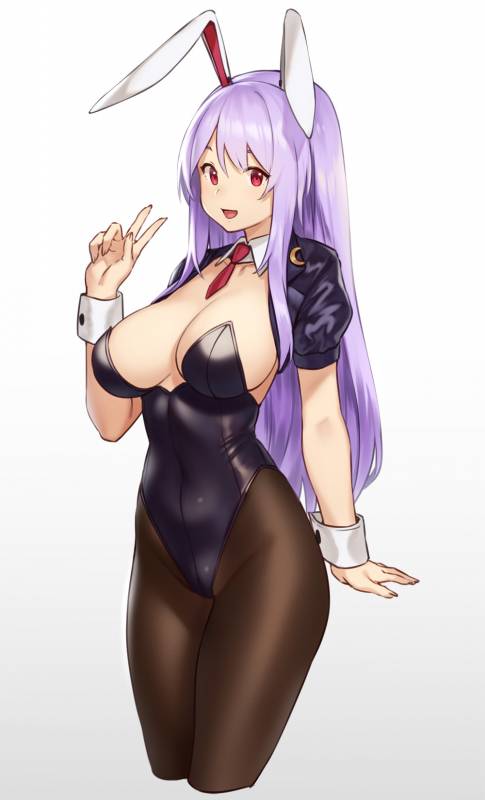 reisen udongein inaba