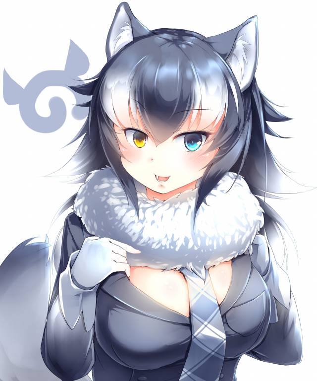 grey wolf (kemono friends)