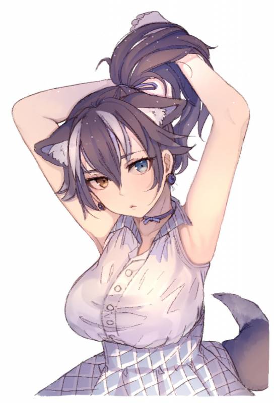 grey wolf (kemono friends)