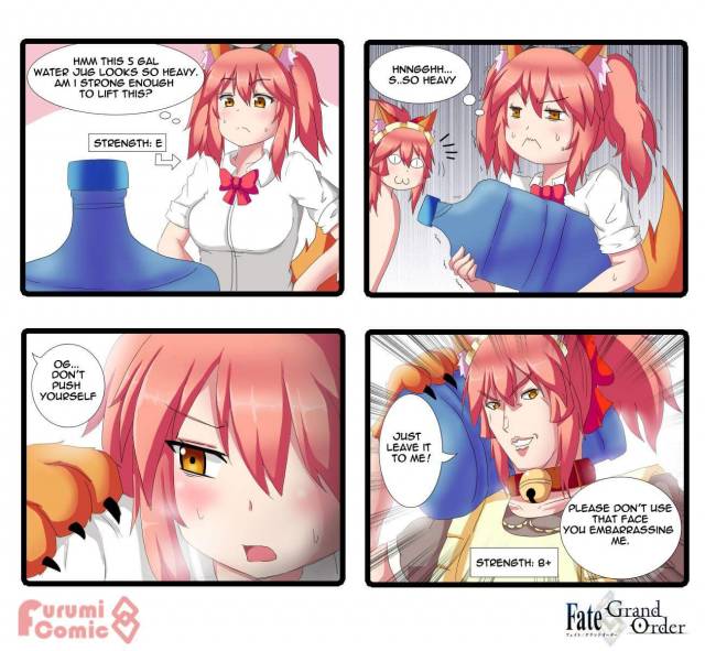 tamamo (fate) (all)+tamamo cat (fate)+tamamo jk (fate)+tamamo no mae (fate)