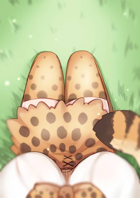 serval (kemono friends)