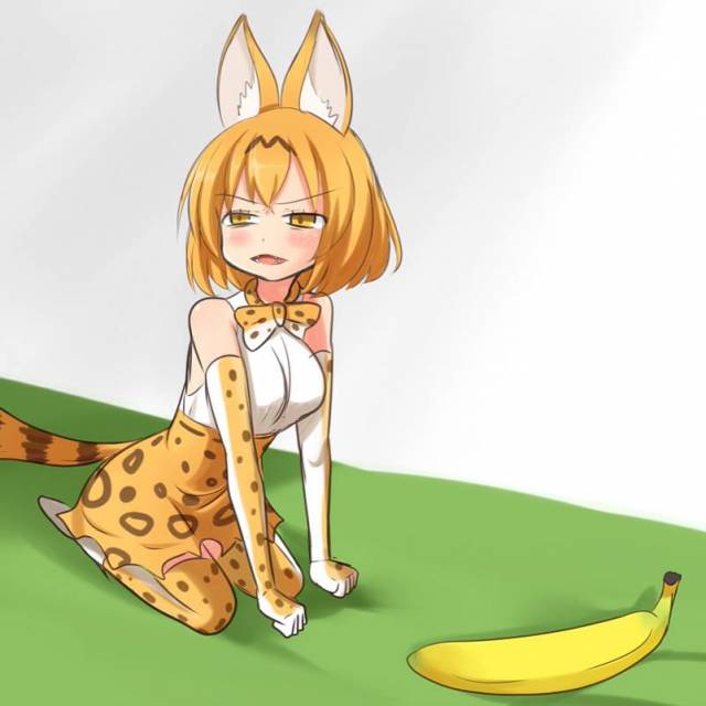 serval (kemono friends)