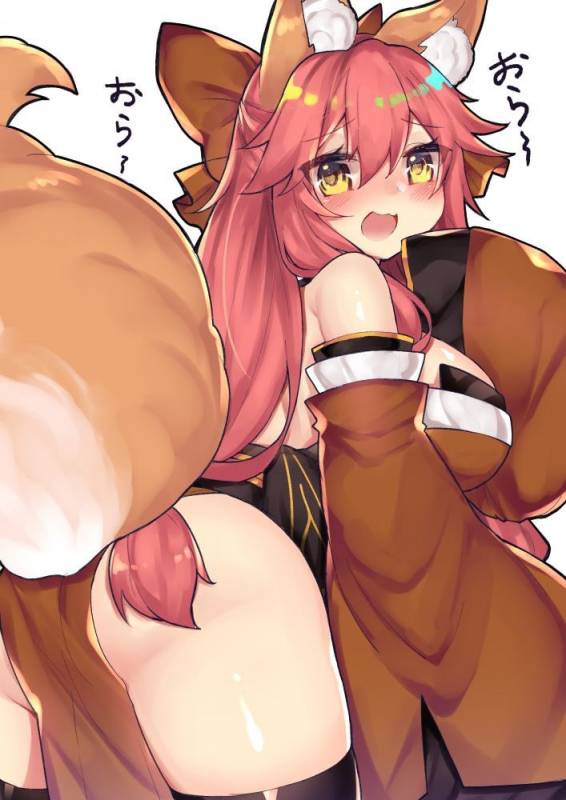 tamamo (fate) (all)